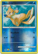 Buizel 61/106 (Great Encounters)  - Reverse Holofoil