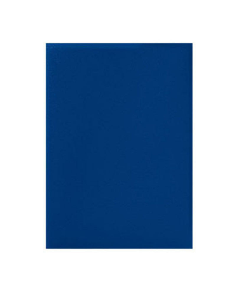 Sleeves - Dragon Shield - Box 100 - Blue
